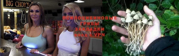 СК Нея