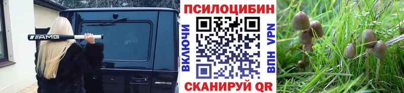 Псилоцибиновые грибы Psilocybine cubensis  Мураши 